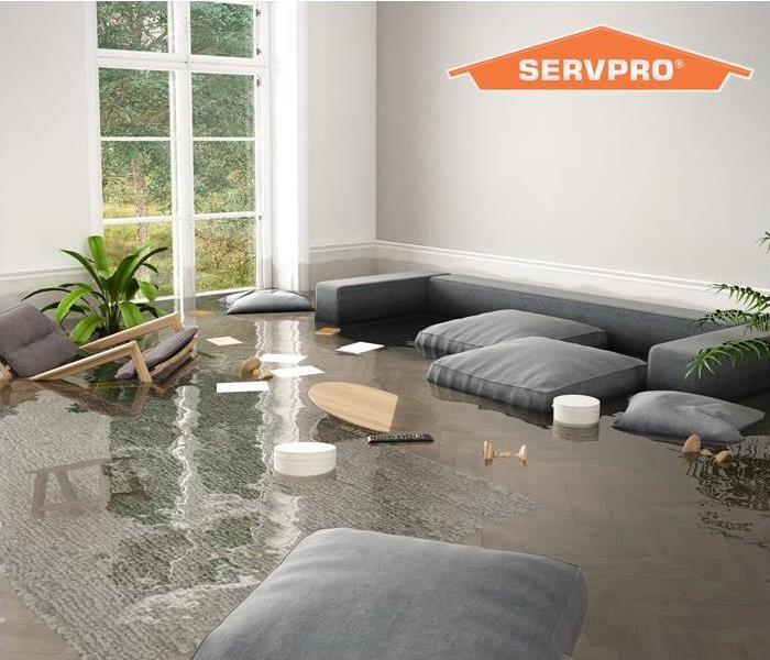 standing water in living room 