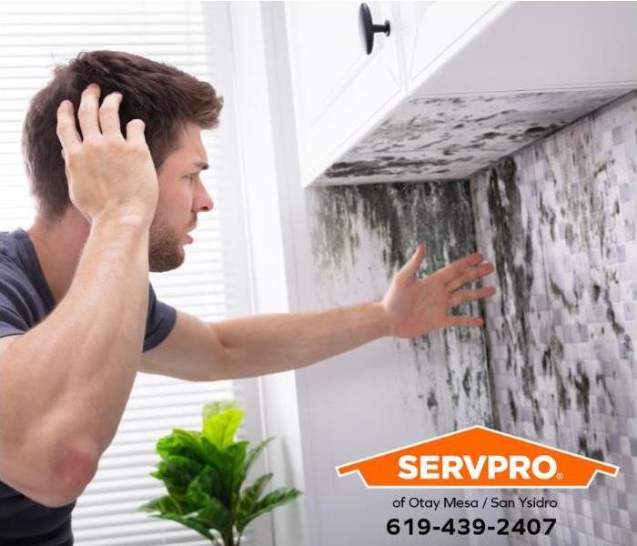 A person discovers mold growing on a wall. 