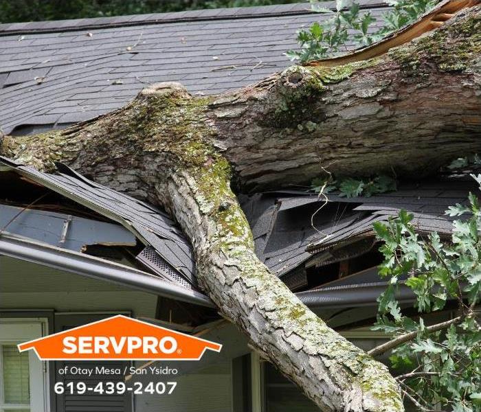 Part of an oak tree sits on the roof of a house. 