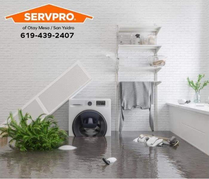 A flooded laundry room is shown.