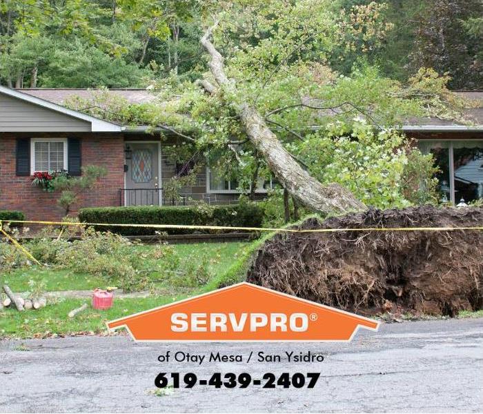 A tree has blown over into a house in a suburban area.