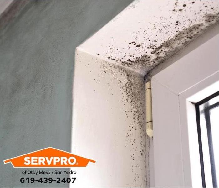 Mold grows around a door frame.