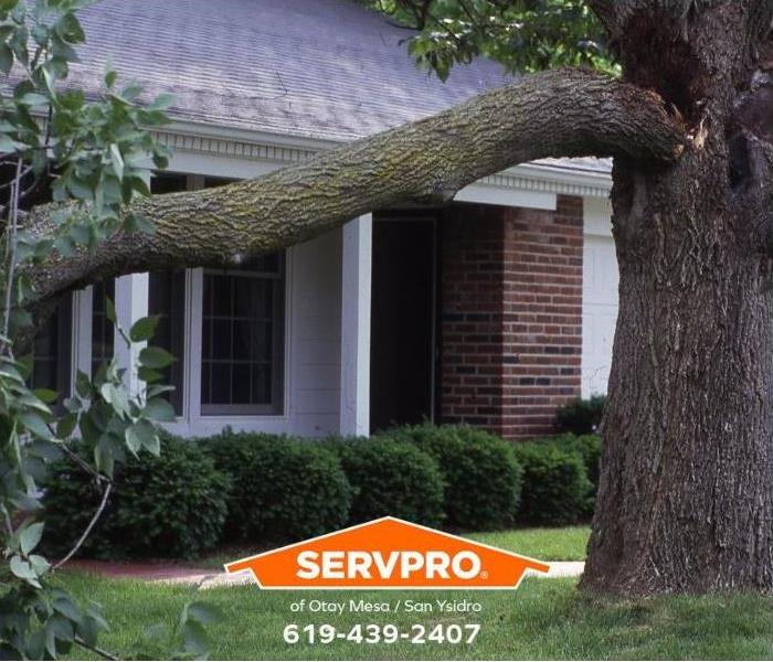 Strong winds cause damage to a large tree limb.