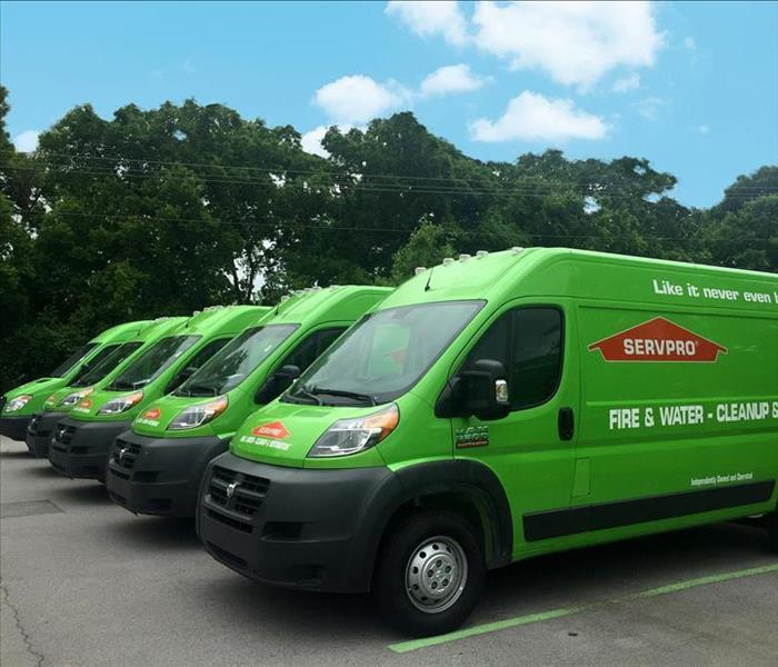 Fleet of SERVPRO vehicles 