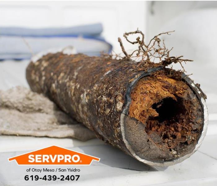 A corroded pipe with root intrusion is shown.
